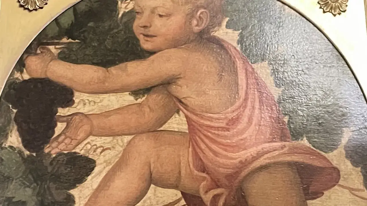 Enfant aux raisins, œuvre de Bernardino Luini, s'étire pour cueillir une grappe sombre.