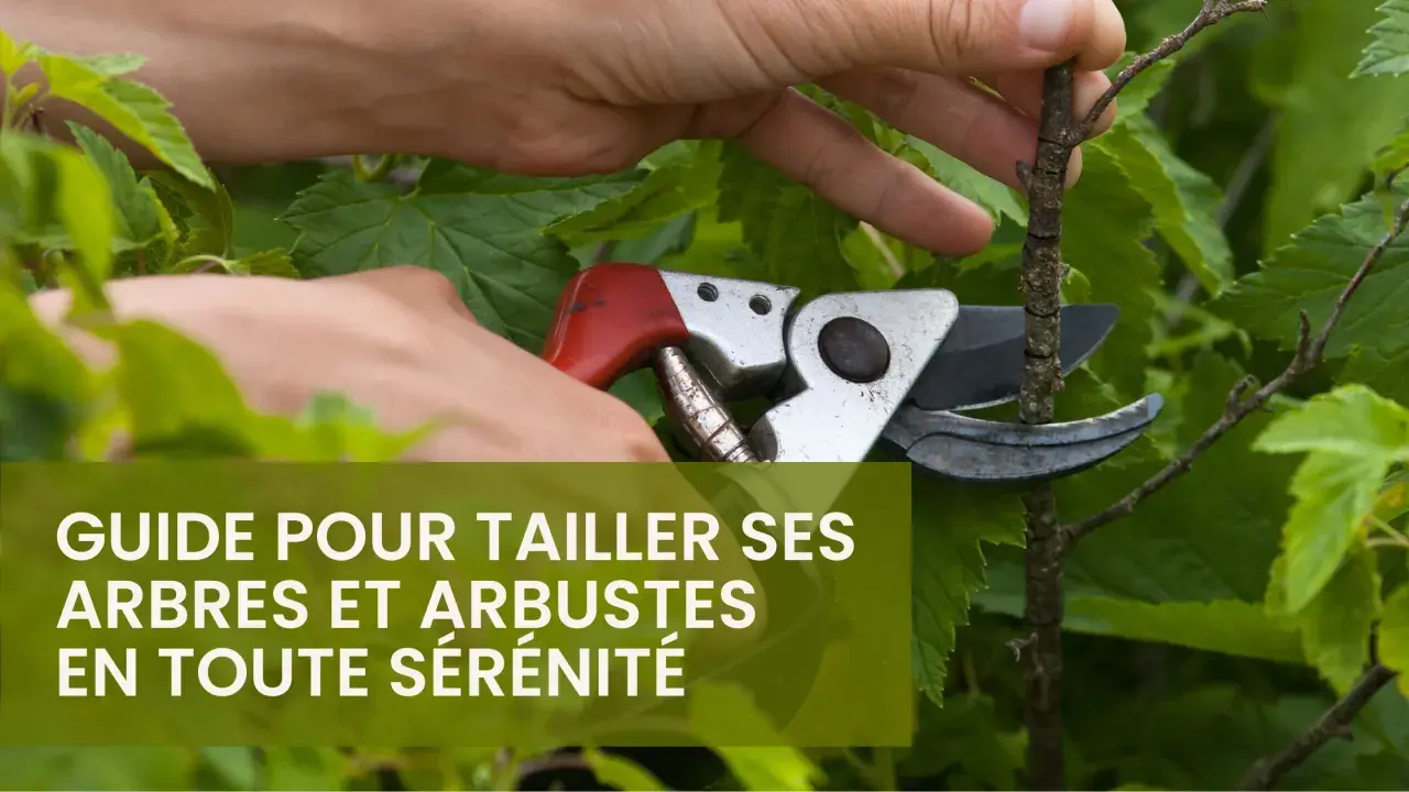 Main d'un jardinier utilisant un sécateur pour tailler une branche d'arbuste. Guide pour savoir comment tailler ses arbres et arbustes.