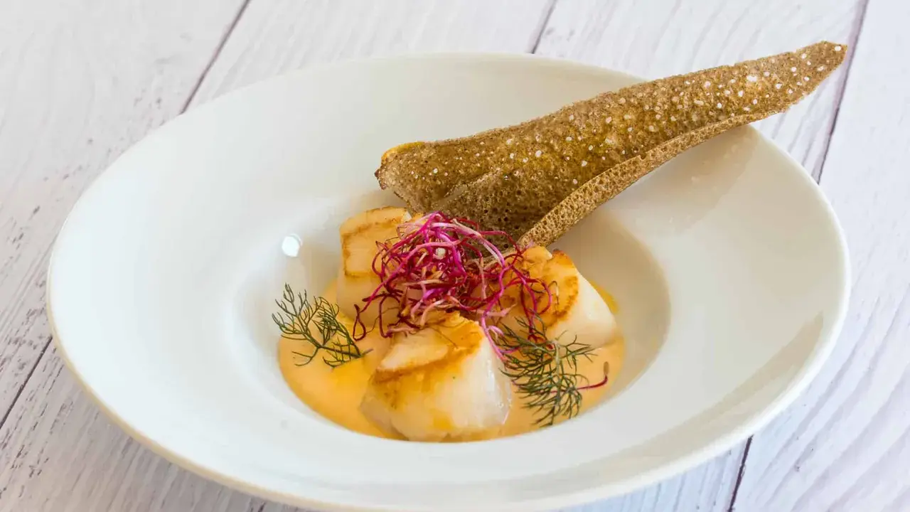 Saint-Jacques poêlées dans une sauce onctueuse, garnies de pousses rouges et d'aneth, accompagnées d'une tuile de sarrasin. Un délice de table à la française.