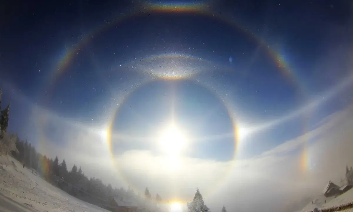 Zjawiskowy efekt halo nad zimowym krajobrazem. Słońce otoczone tęczowymi kręgami, mgła i ośnieżone drzewa tworzą magiczną scenę.