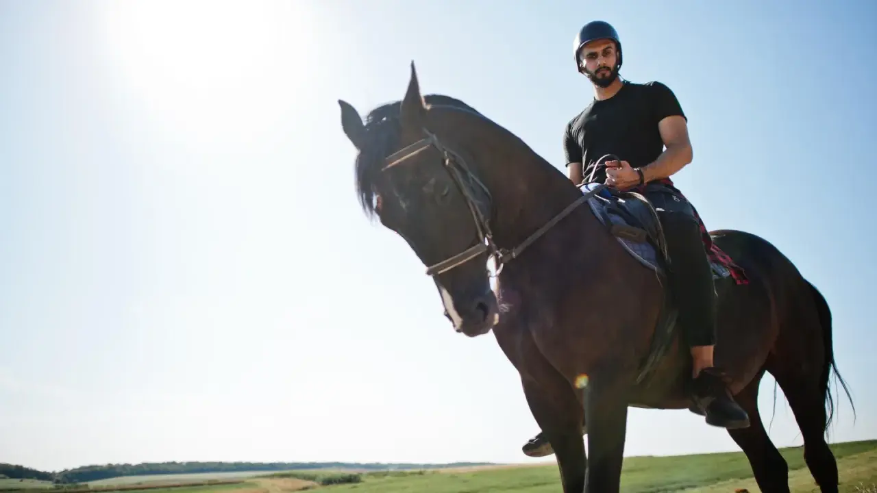 Uomo con casco e barba cavalca un cavallo scuro in un paesaggio verdeggiante. Un'esperienza di **Toscana a cavallo**.