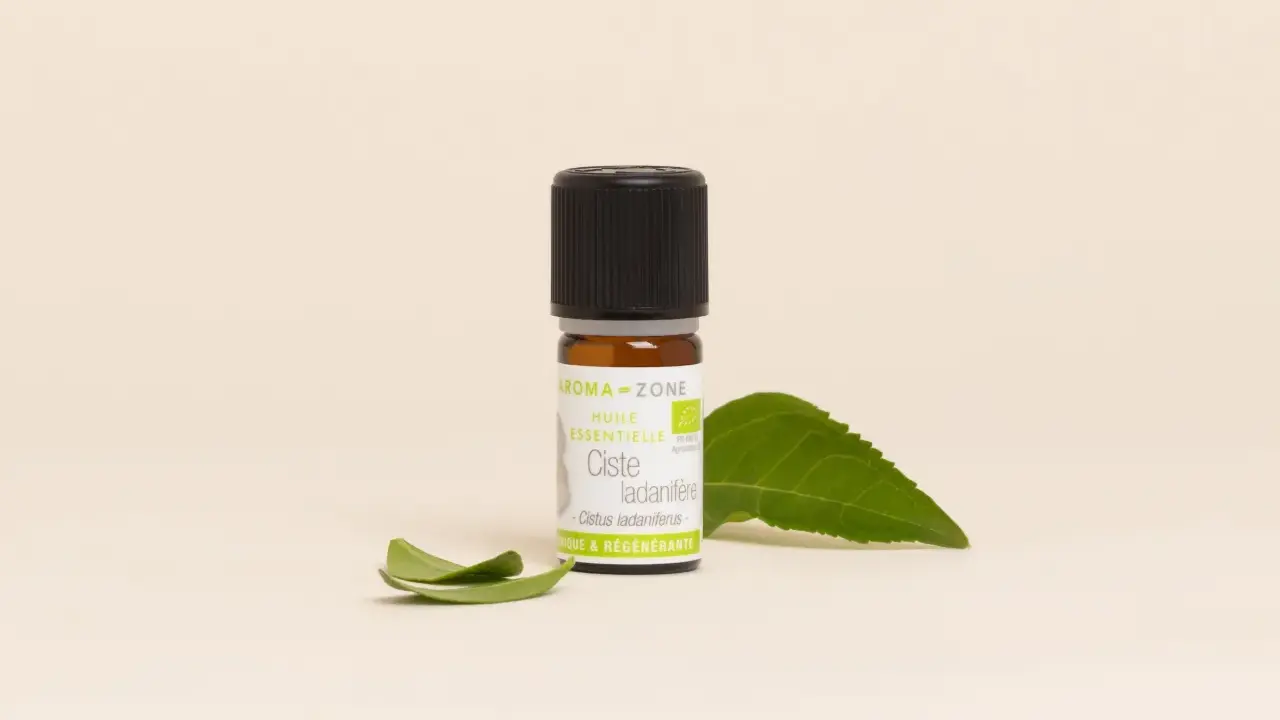Flacon d'huile essentielle de ciste, aux vertus uniques et régénérantes, accompagné de feuilles vertes.