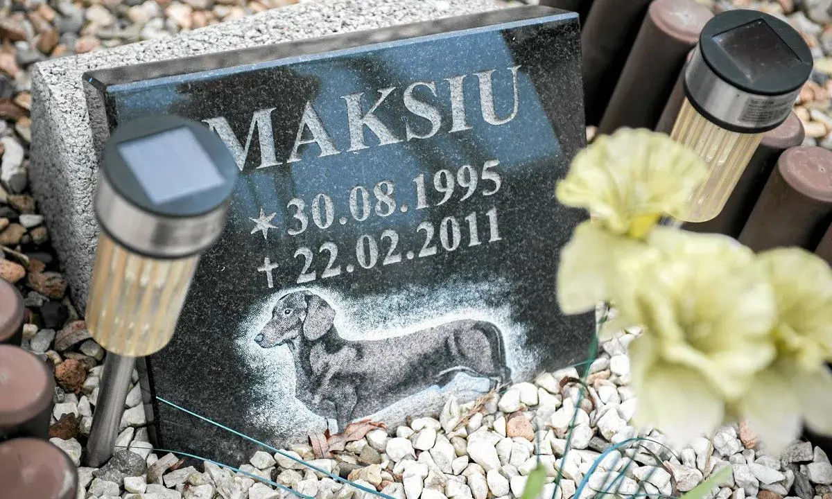 Pies na cmentarzu? Co mówią przepisy i jak uniknąć mandatu?