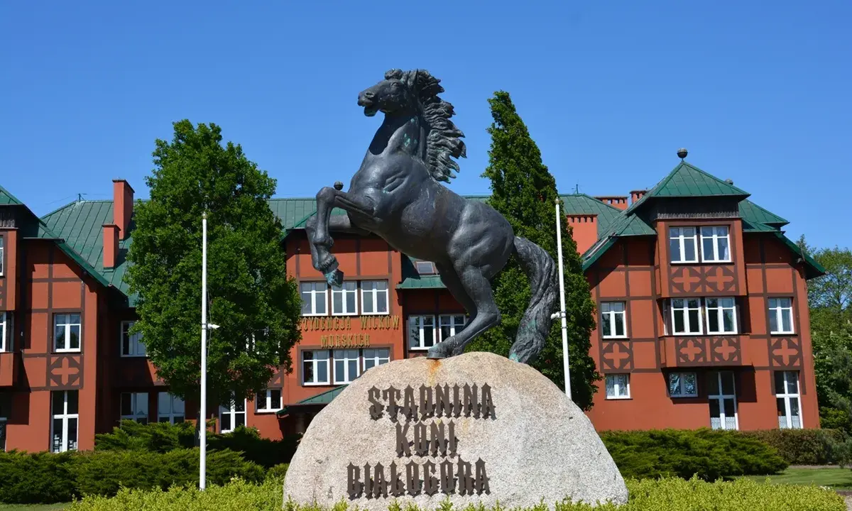 Białogóra: Jazda konna nad morzem galop po plaży, cennik, noclegi