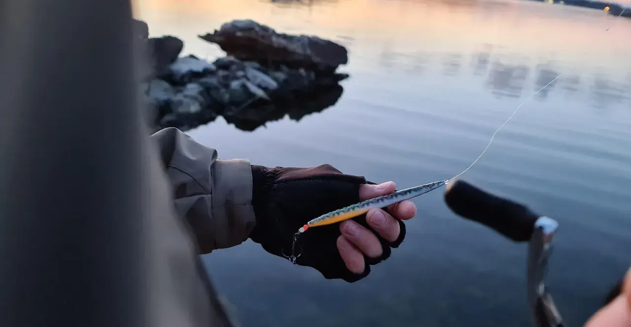 Person med fiskeutrustning håller en laxdrag i handen vid vattnet.