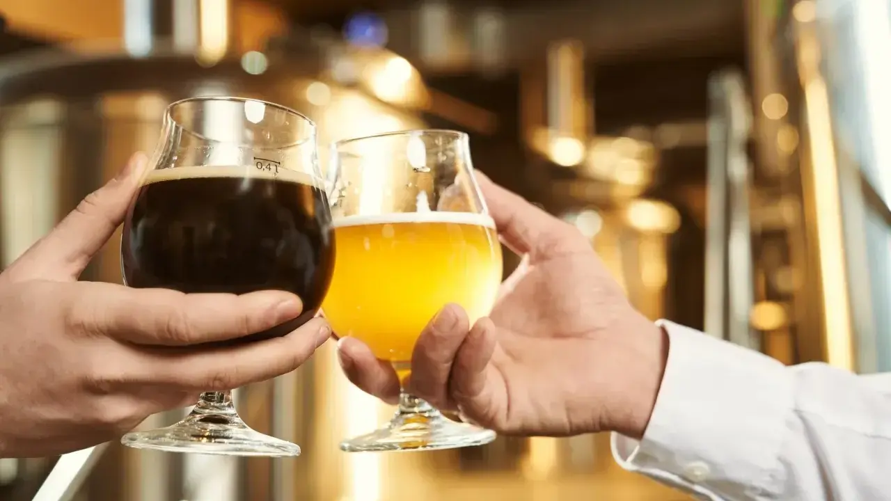 Dwie dłonie unoszą kieliszki z piwem. Jedno ciemne, drugie jasne, jak żywiec białe.