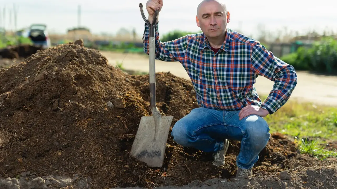 Un homme en chemise à carreaux et jean, pelle à la main, près d'un tas de tourbe blonde. Il est prêt pour son utilisation au jardin.