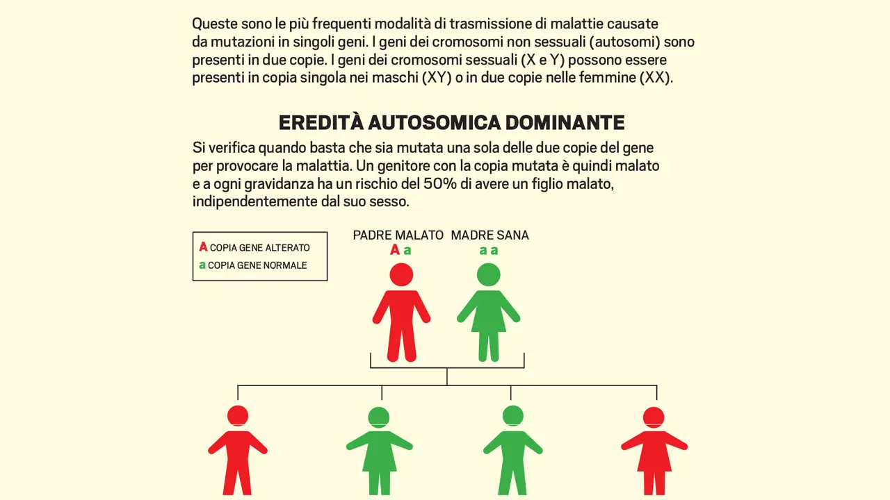 Schema di trasmissione ereditaria autosomica dominante, che illustra come le malattie genetiche più diffuse possono manifestarsi in una famiglia.