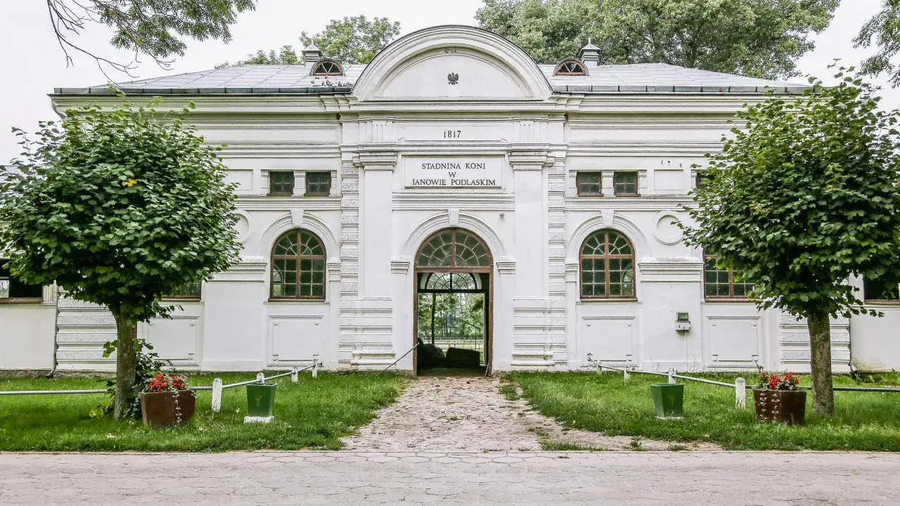 Janów Podlaski: Stadnina Koni Odkryj Tajemnice Polskiej Legendy