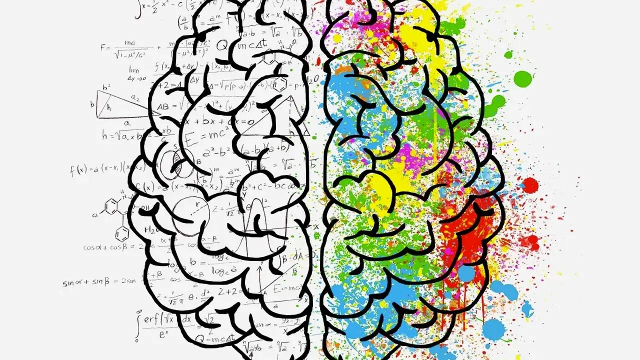Cerveau divisé : d'un côté, formules mathématiques complexes ; de l'autre, éclaboussures vives. L'influence des couleurs sur la pensée.