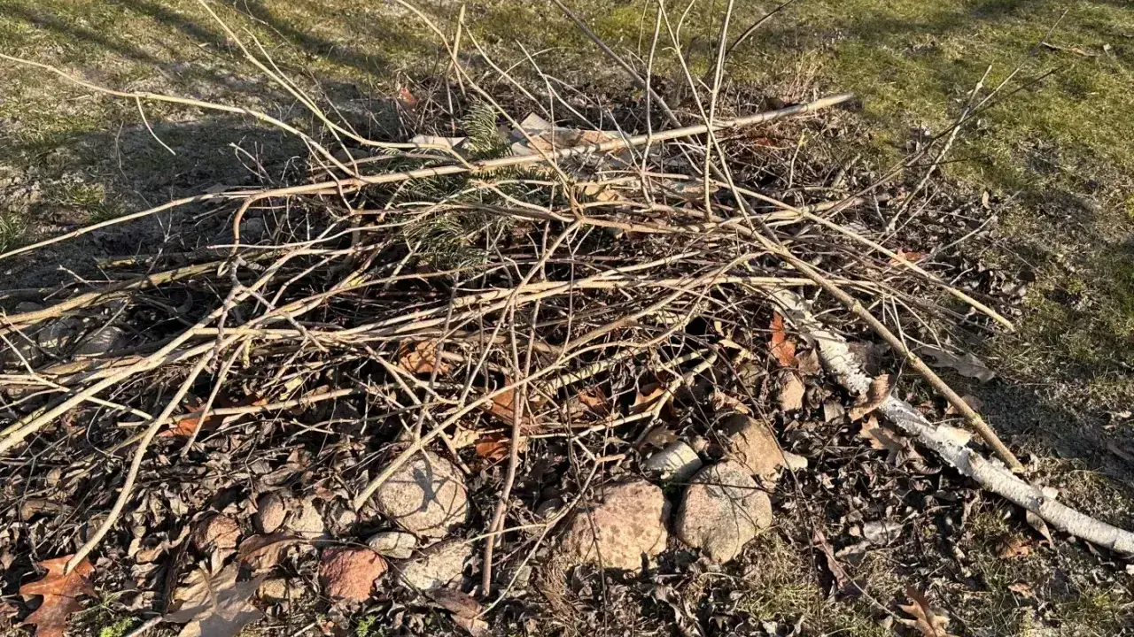 Stos gałęzi i liści na trawniku. Czy można palić gałęzie na wsi? To zależy od przepisów.