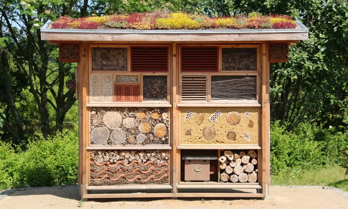 Un hotel de insectos con techo verde, lleno de materiales naturales como troncos, cañas y ladrillos, ofrece refugio a pequeños animales.