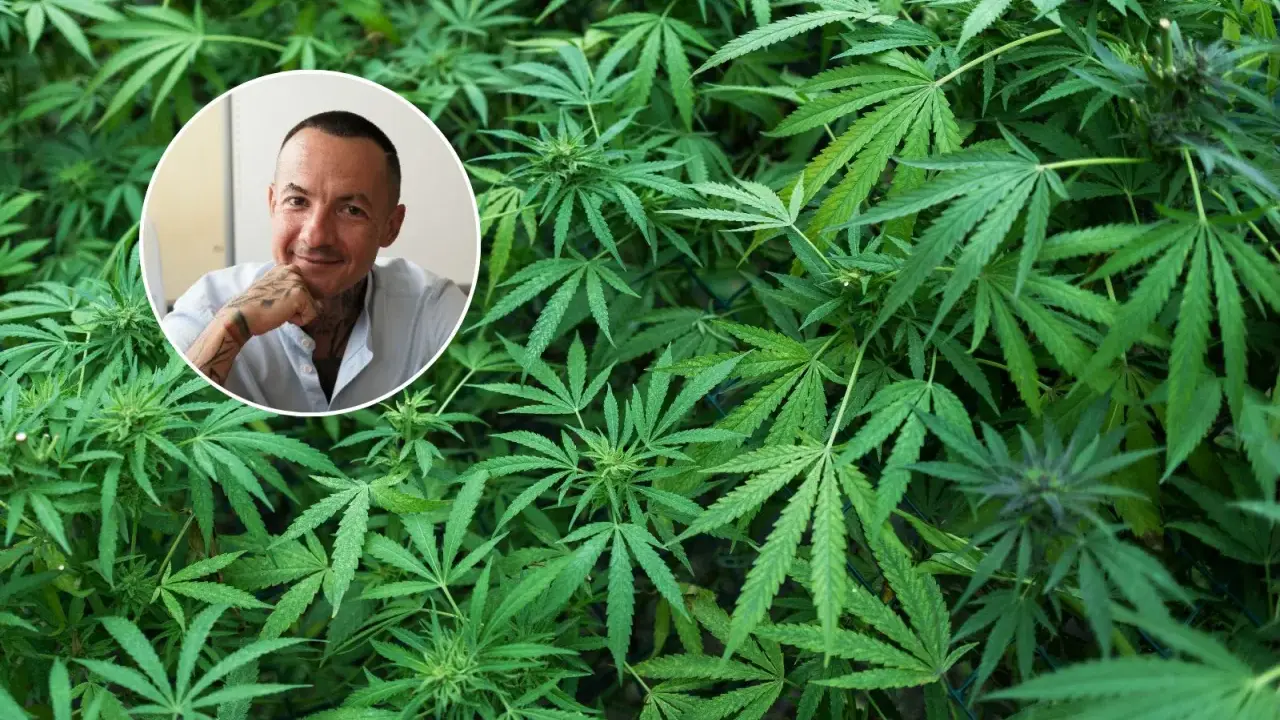 Mężczyzna z tatuażami w okręgu na tle gęstej roślinności konopi. Dyskusja o legalizacji marihuany nabiera tempa.