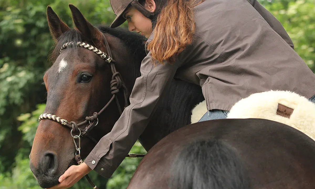 Reiterin mit Sidepull-Trense streichelt Pferdekopf. Vertrauensvoller Moment beim Reiten mit Sidepull.