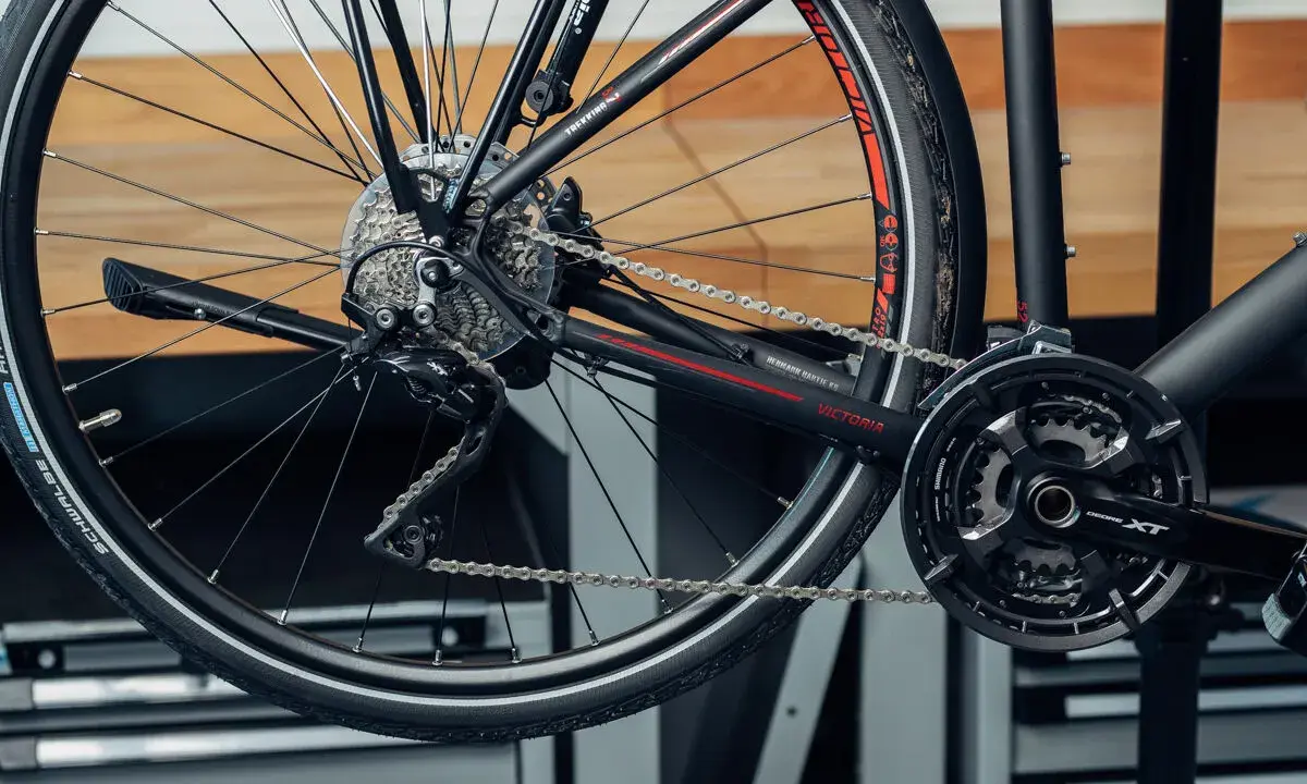 Detailaufnahme der Fahrradkette und des Ritzelpakets. Wenn Sie sich fragen, welche Fahrradkette brauche ich, hilft dieser Blick auf die Komponenten.