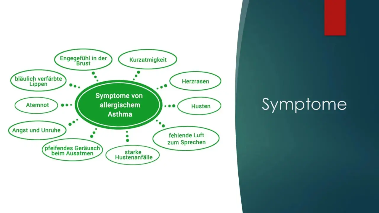 Symptome von allergischem Asthma: Engegefühl, Kurzatmigkeit, Herzrasen, Husten, fehlende Luft, Hustenanfälle, pfeifendes Geräusch, Angst, Atemnot, bläuliche Lippen.