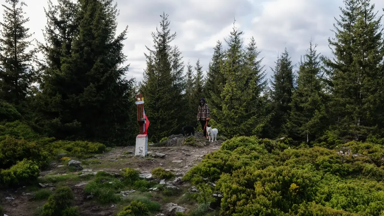 Osoba z dwoma psami na szczycie góry, wśród drzew. Obok znak turystyczny.