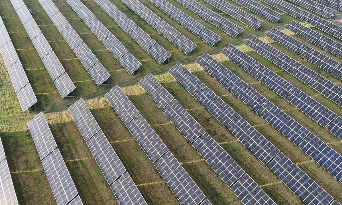 Duże pole paneli słonecznych. Zastanawiasz się, czy magazyn energii trzeba zgłaszać?