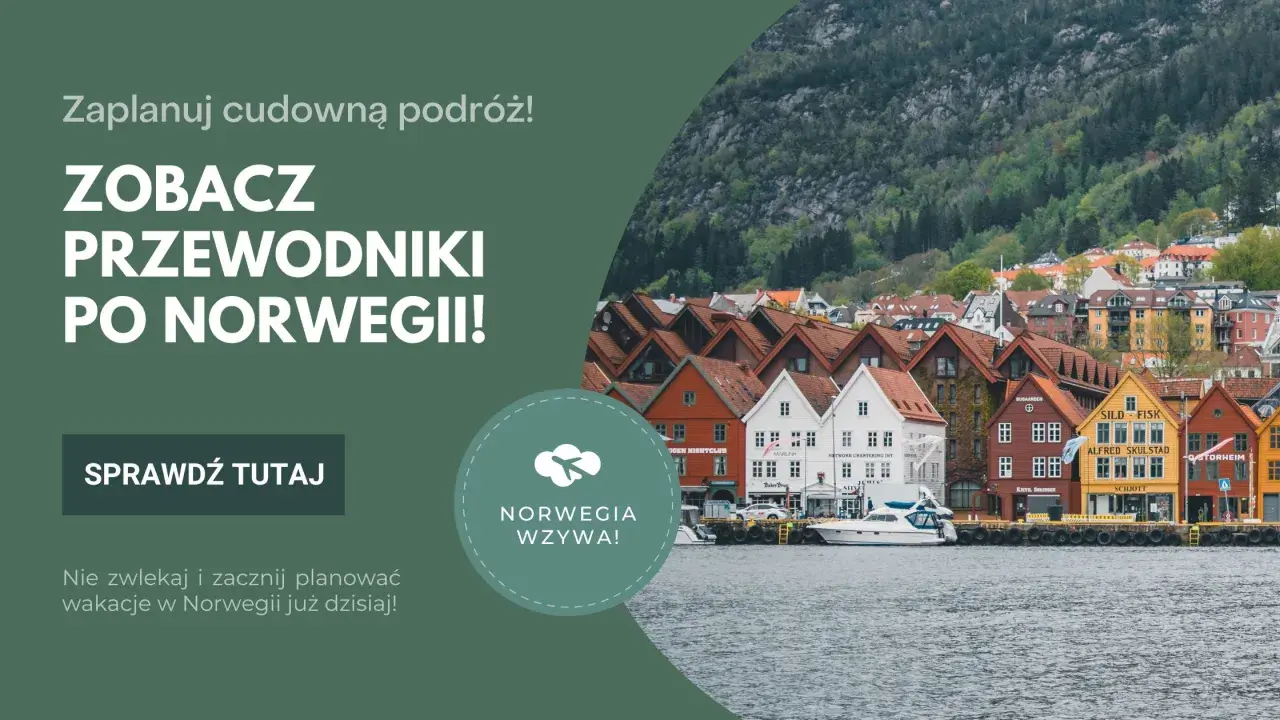 Planujesz studia licencjackie po angielsku w Norwegii? Zobacz przewodniki po tym kraju i zacznij planować podróż!