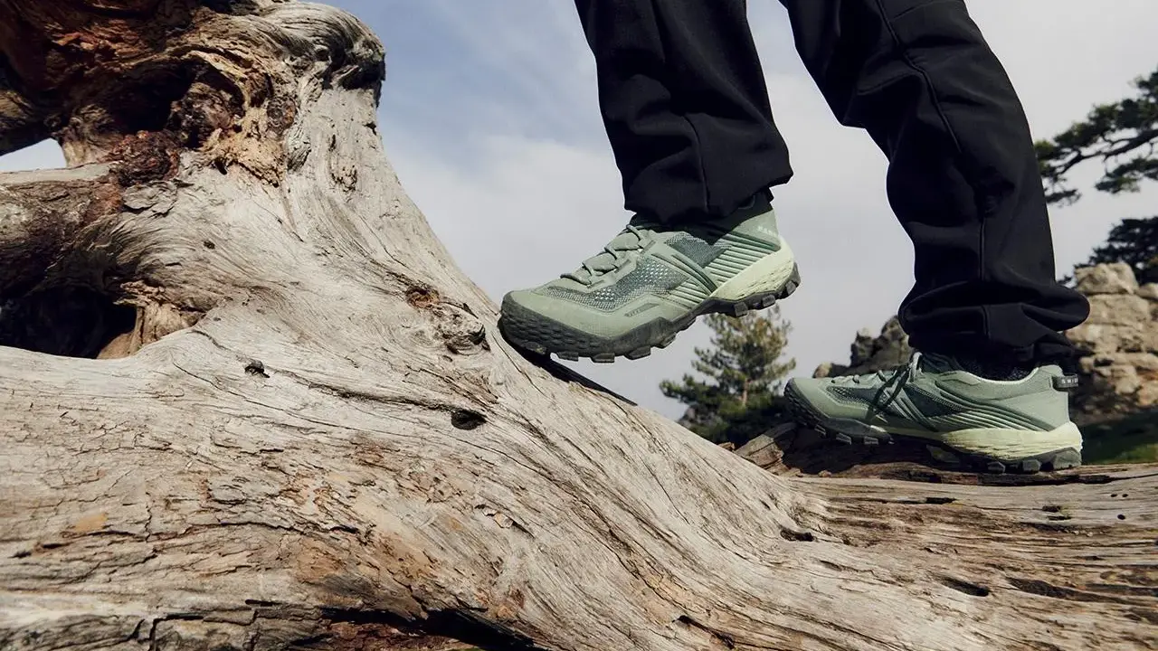 Zielone buty trekkingowe na pniu drzewa. Idealne na górskie wędrówki, zapewniające stabilność i komfort.