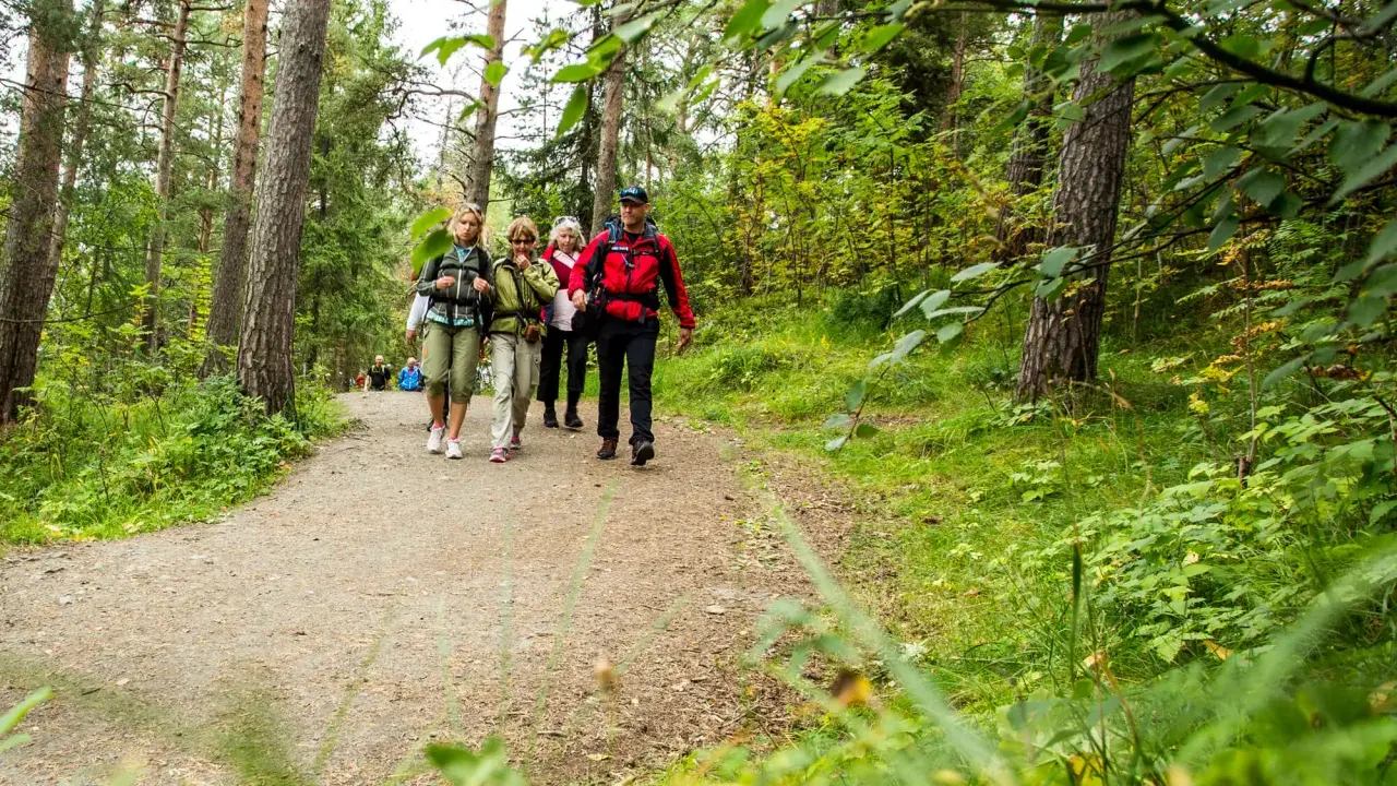 En grupp vandrare går längs en grusväg genom en lummig skog, en del av pilgrimsleder Sverige.