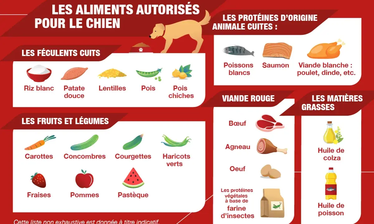 Guide pour une cuisine pour chien : 50 recettes santé. Aliments autorisés : féculents, fruits, légumes, viandes et poissons cuits, huiles.