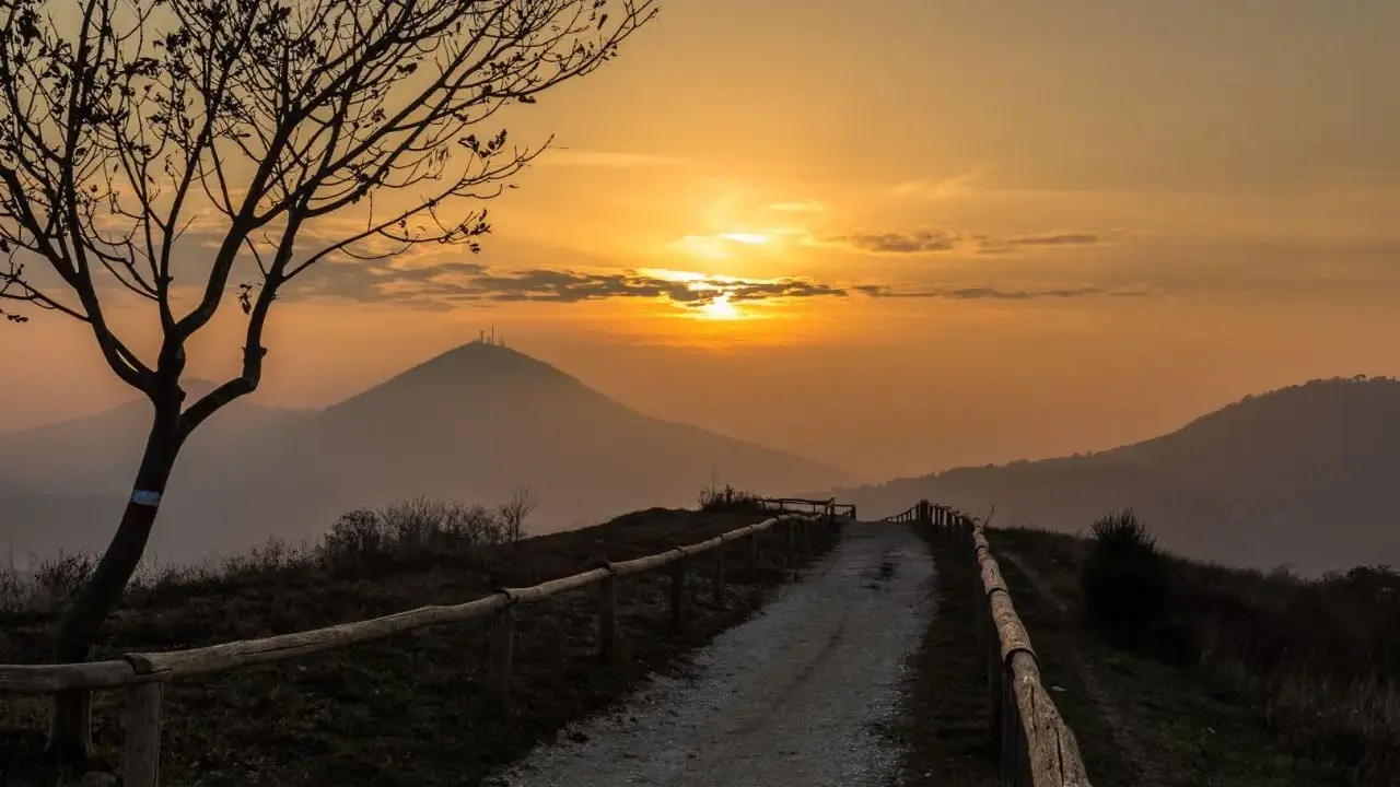 Sentiero sul pianoro del Mottolone al tramonto, con un albero spoglio in primo piano e colline nebbiose all'orizzonte.