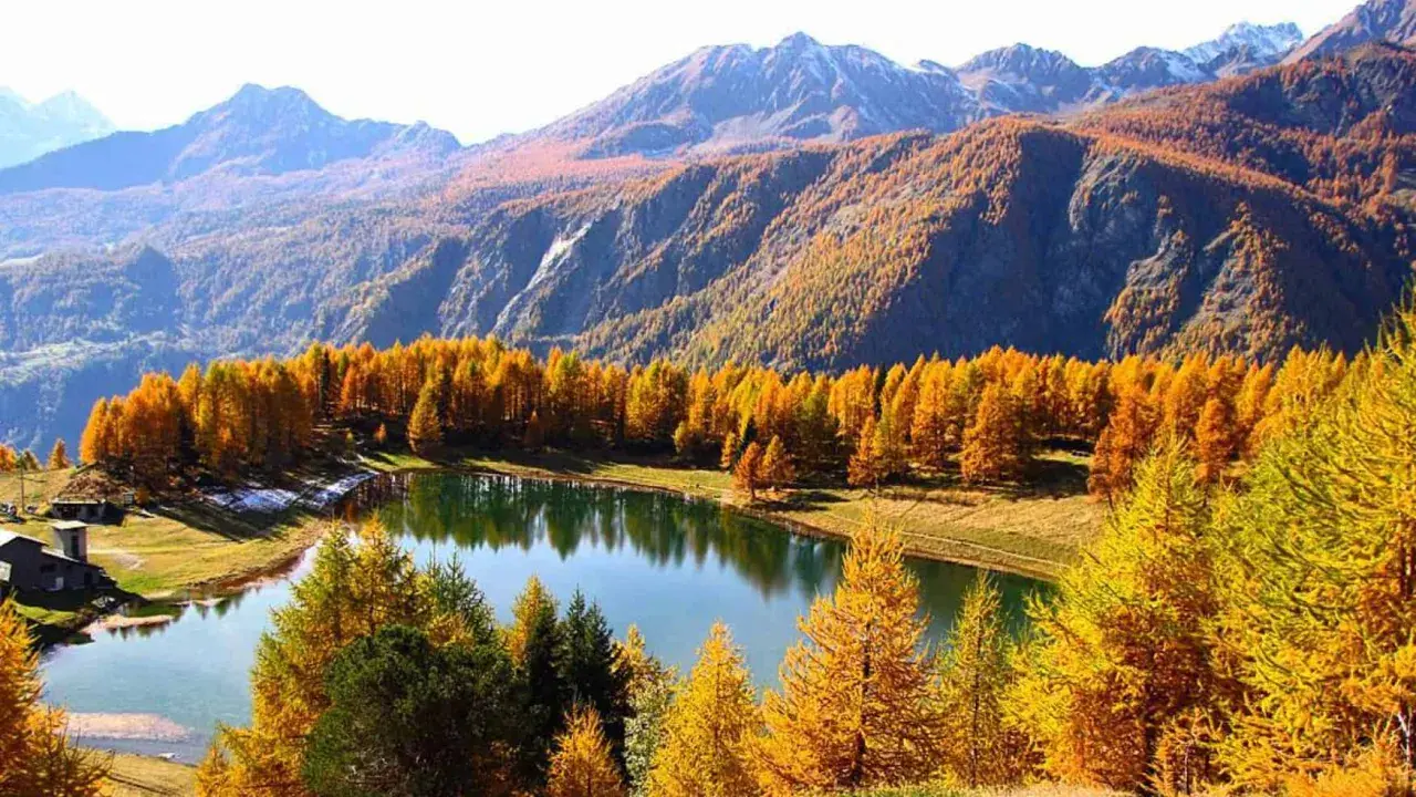 Autunno dorato al lago di Lod, con larici fiammeggianti che si specchiano nelle acque tranquille, montagne maestose sullo sfondo.