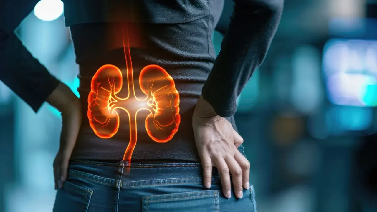 Urosepsa u starszej osoby rokowania. Grafika przedstawia podświetlone nerki i drogi moczowe, symbolizujące infekcję.