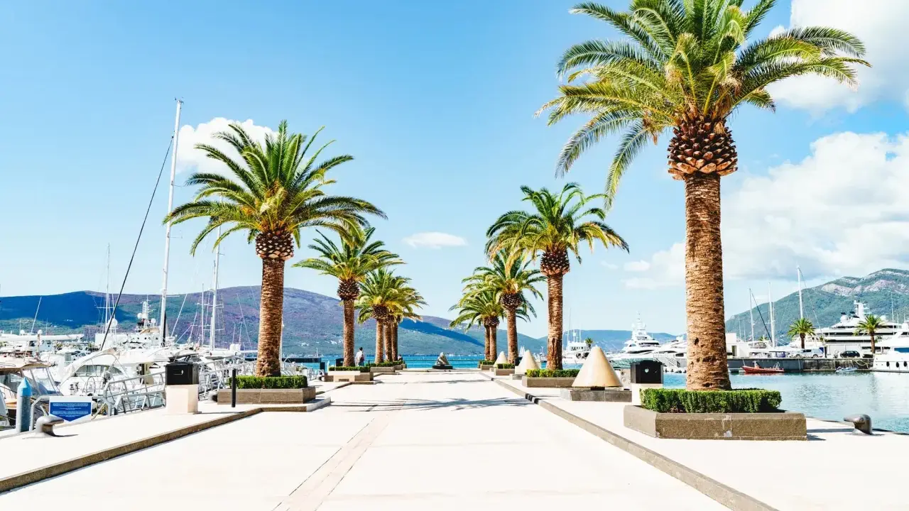 En vacker strandpromenad med palmer leder mot en hamn full av lyxyachter. En perfekt vy vid en flygplats i Montenegro.
