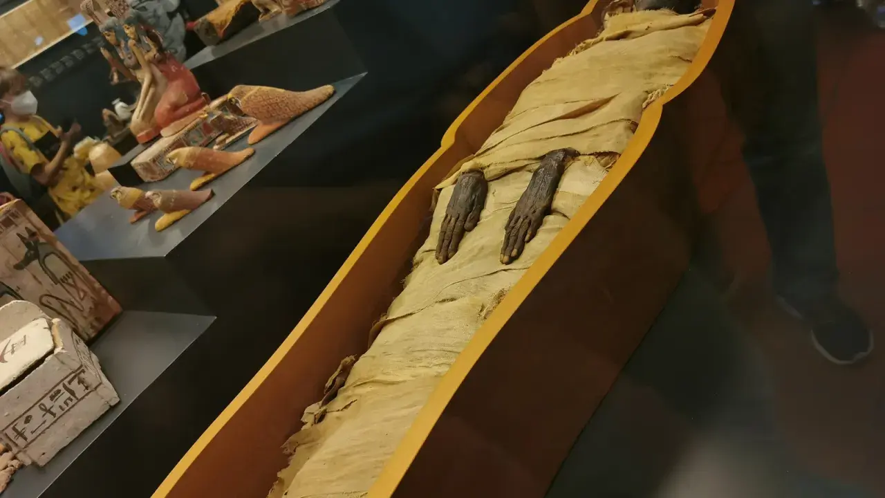 Mumifikacja w starożytnym Egipcie: zmumifikowane ciało w sarkofagu, obok artefakty.