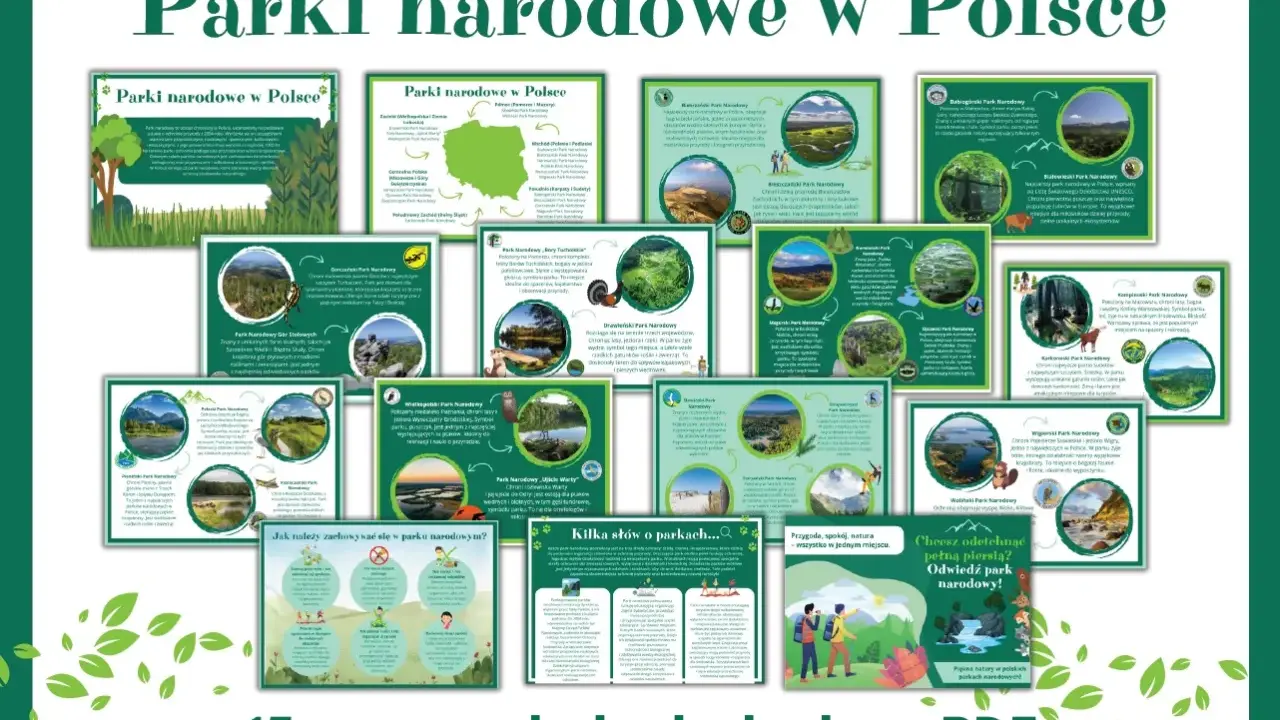 Wizualizacja przedstawia 15 kart PDF o parkach narodowych w Polsce, zachęcając do odkrywania piękna natury.