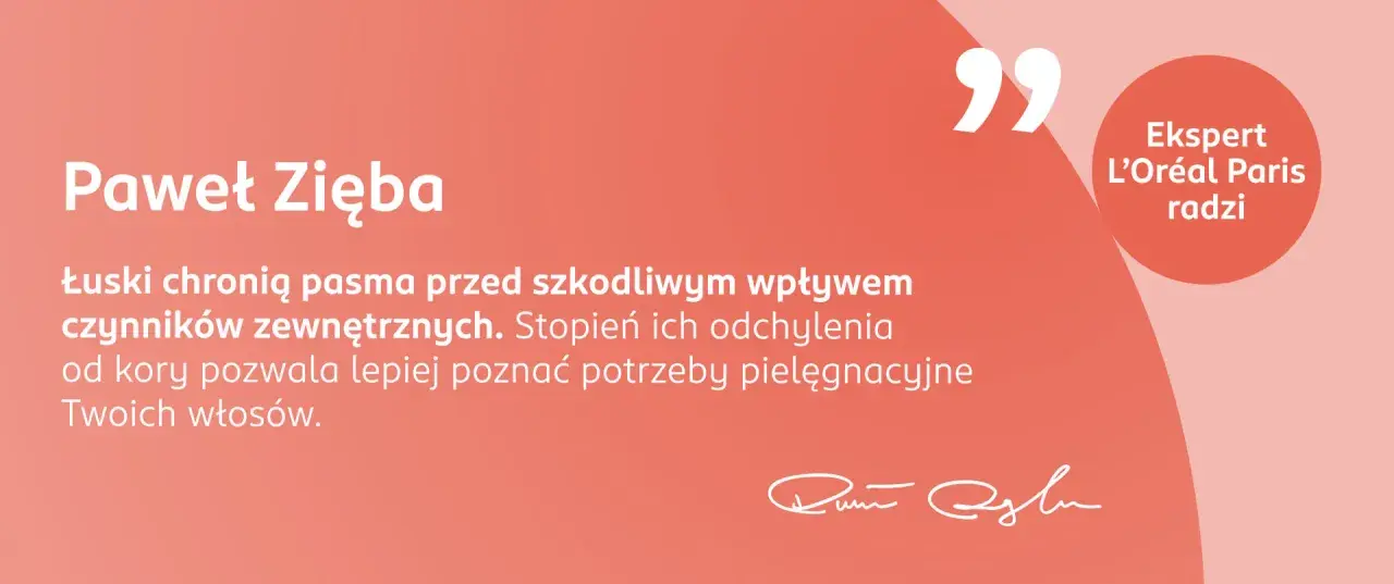 Ekspert L'Oréal Paris radzi: poznaj rodzaje włosów i ich porowatość, by lepiej dobrać pielęgnację. Łuski chronią włosy.