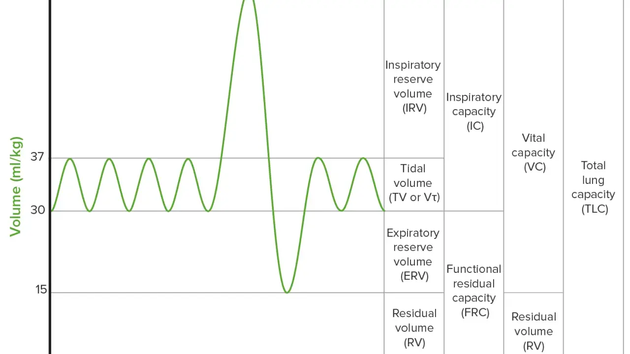 Diagramm zeigt Lungenvolumina, wie Tidalvolumen, Inspiratorisches Reservevolumen und Residualvolumen (RV).