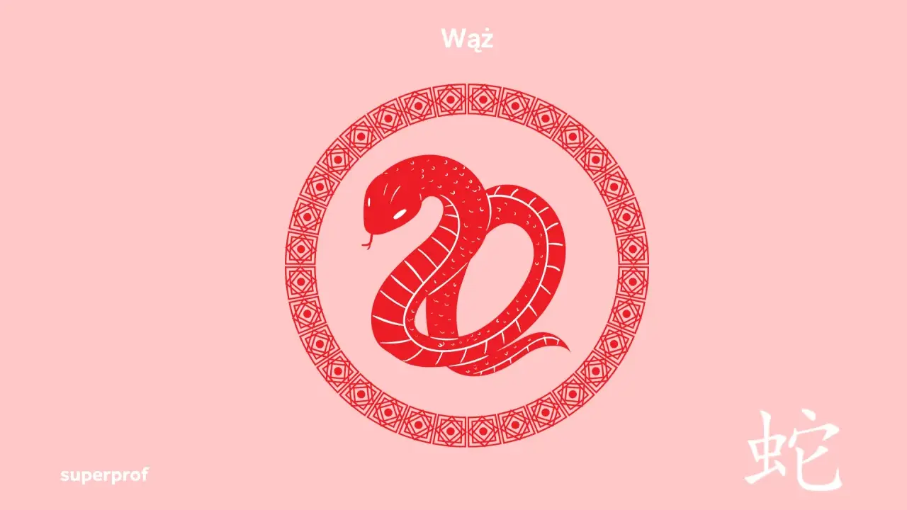 Czerwony wąż horoskop chiński w okręgu z ornamentem. Obok chiński znak "wąż".