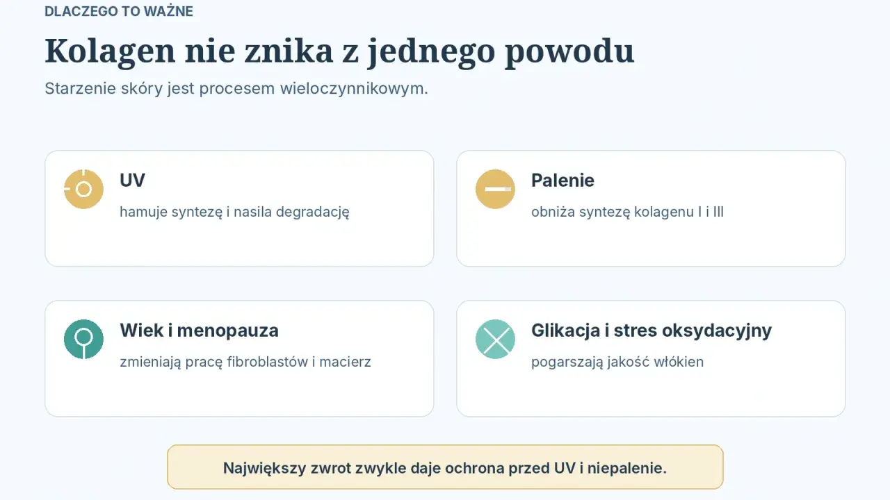 Czynniki niszczące kolagen w organizmie: UV, palenie, wiek, menopauza, glikacja i stres oksydacyjny. Ochrona przed UV i niepalenie to klucz do zachowania kolagenu.