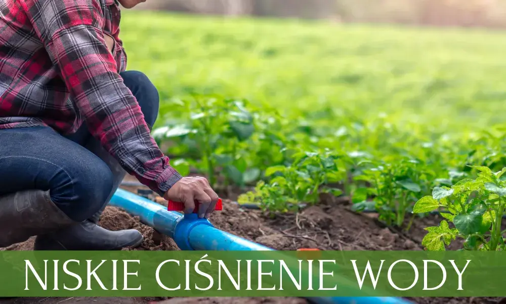 Niskie ciśnienie w zraszaczach? Diagnoza i skuteczne rozwiązania