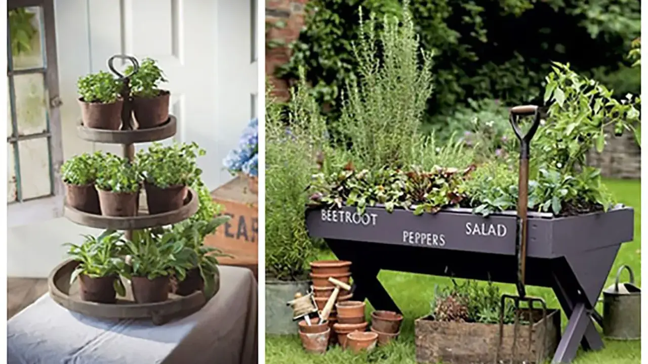 Inspiracje do ogrodu: zioła na piętrowej półce i w skrzyni z napisem "Beetroot, Peppers, Salad".