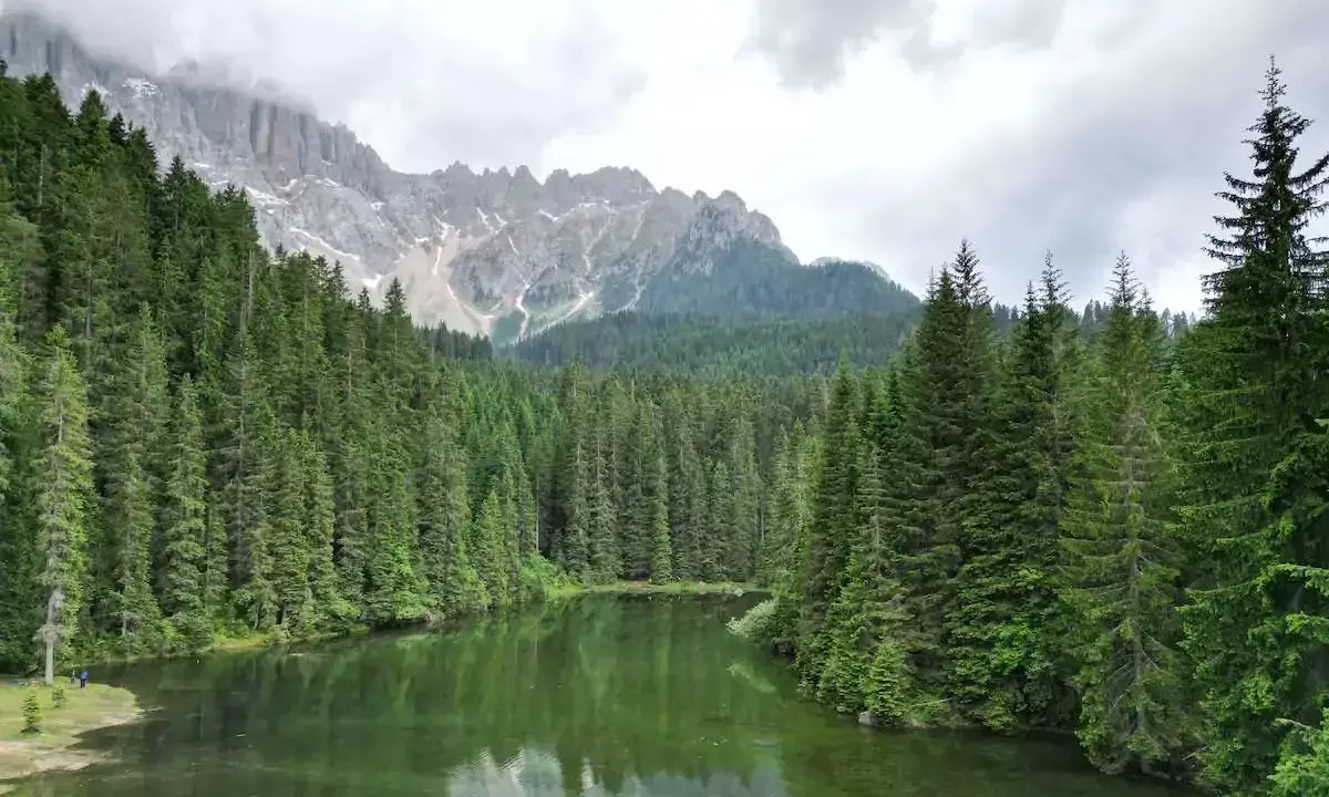 Laghi alpini nella Val di Fassa, circondati da fitti boschi di conifere e imponenti vette rocciose.