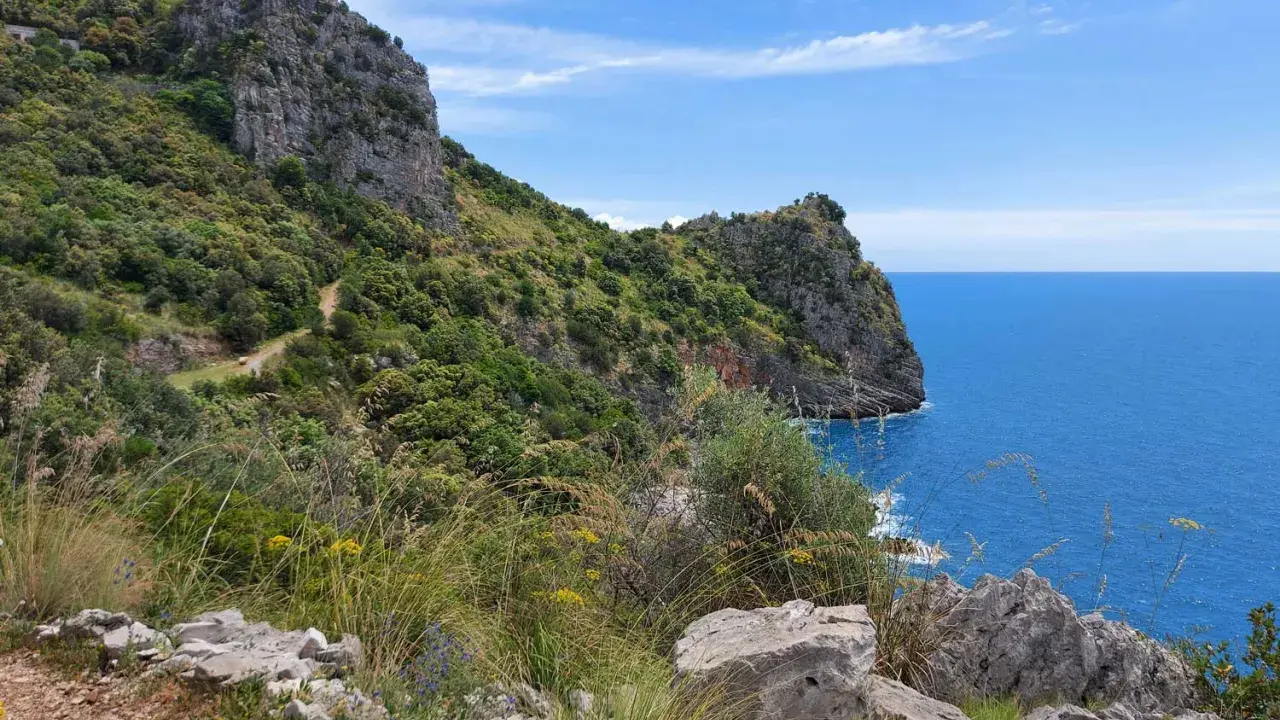 Sentiero panoramico con rocce e vegetazione lussureggiante che si affaccia sul mare blu intenso. Un'ottima idea per cosa vedere a Sapri.