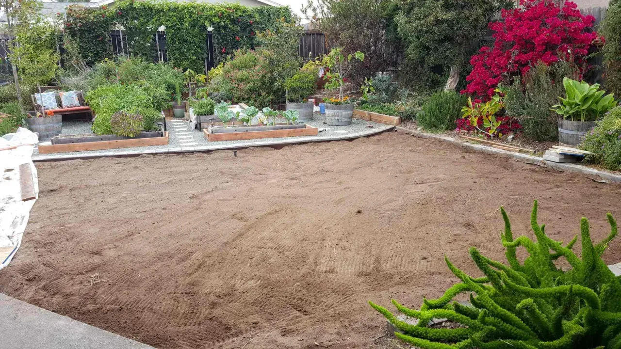 A cleared, sandy patch of yard, ready for new planting. This area, once grass, is now prepped for a garden, showing how to kill grass for a fresh start.