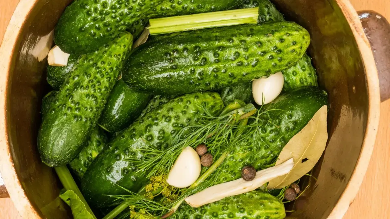Ogórki małosolne w glinianym naczyniu z koprem, czosnkiem i liściem laurowym. Zastanawiasz się, ile kalorii ma ogórek małosolny?