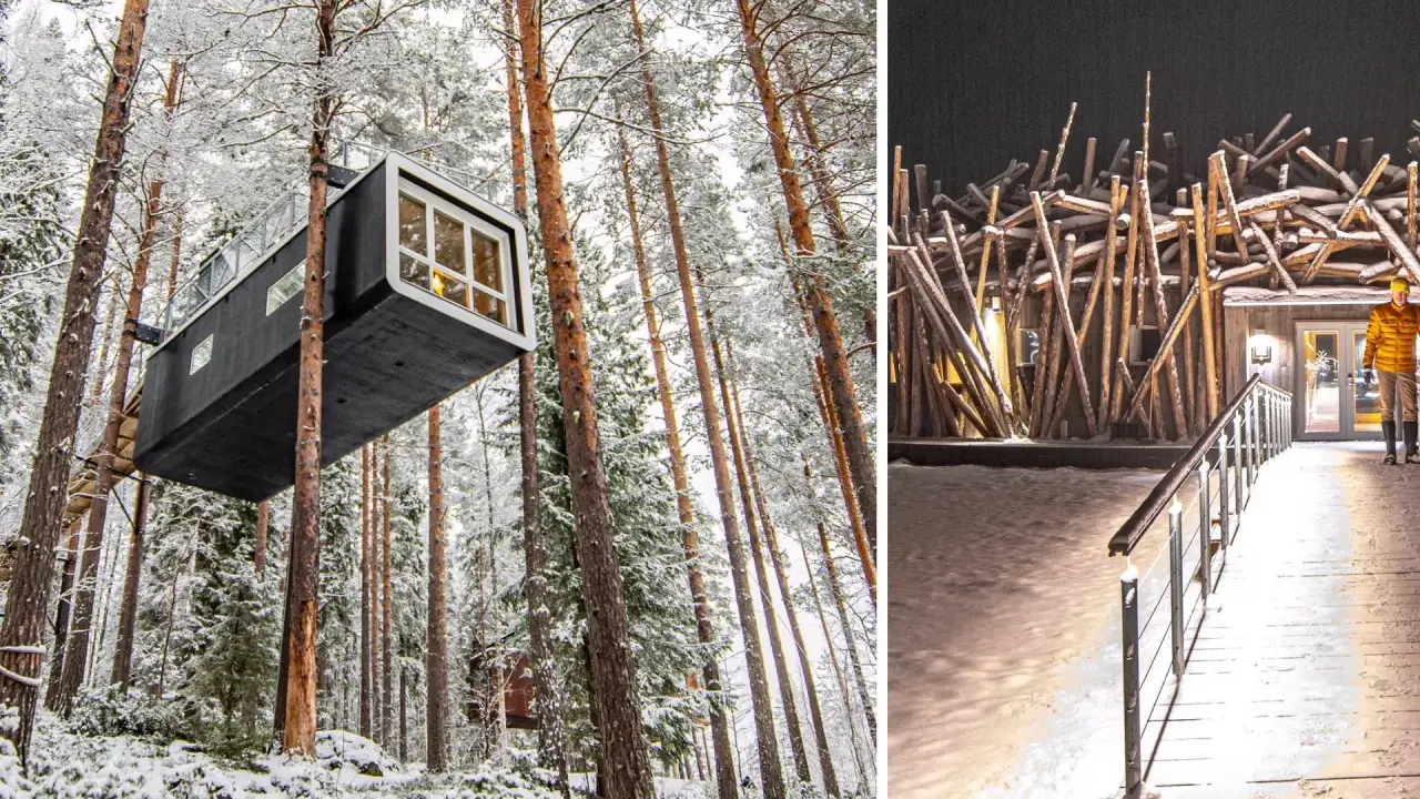 Trädkoja i Harads, Sverige, svävande bland snöklädda tallar. Till höger, en bro leder till en byggnad med en unik fasad av träpinnar.