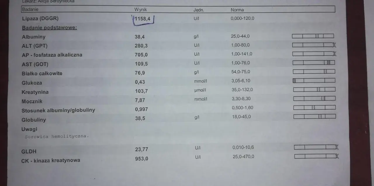 Wynik badania lipazy u psa: 1158,4 U/I. Wynik znacznie przekracza normę (0-120 U/I), co może wskazywać na problemy zdrowotne.
