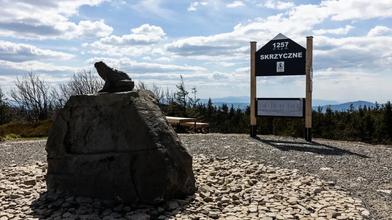 Kamienna żaba na Skrzycznem, jednym z najwyższych beskid śląski szczyty. Tablica informacyjna i ławka zapraszają do podziwiania panoramy.