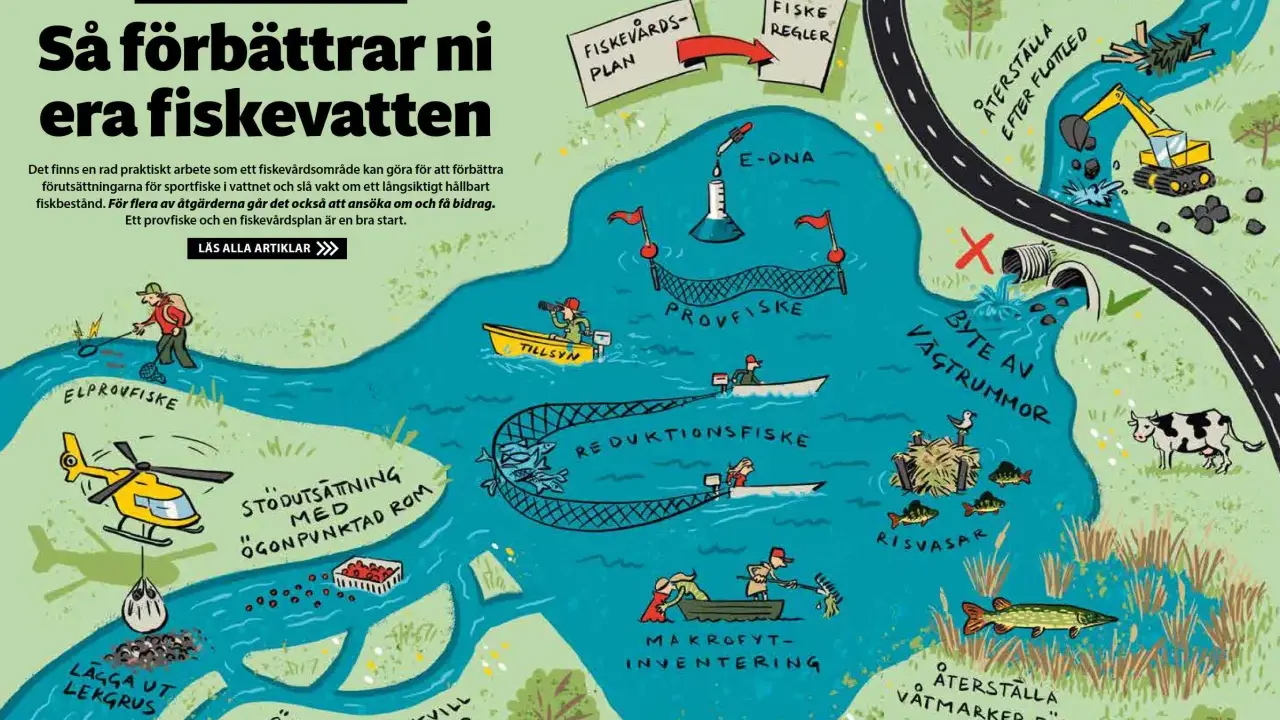 Illustration visar åtgärder för att förbättra fiskevatten i Sverige: provfiske, e-DNA, lekgrus, risvasar och återställning av våtmarker.