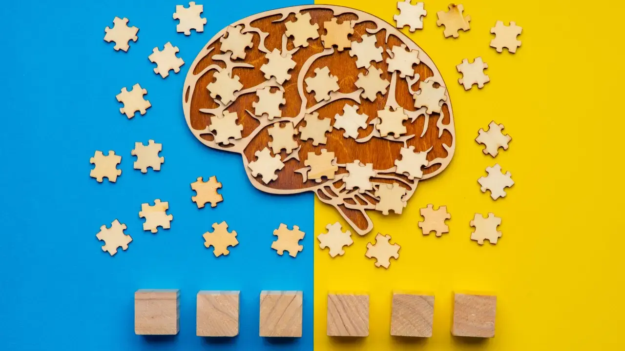 Forma di cervello in legno con pezzi di puzzle sparsi, che simboleggiano il metodo Feuerstein e lo sviluppo cognitivo.