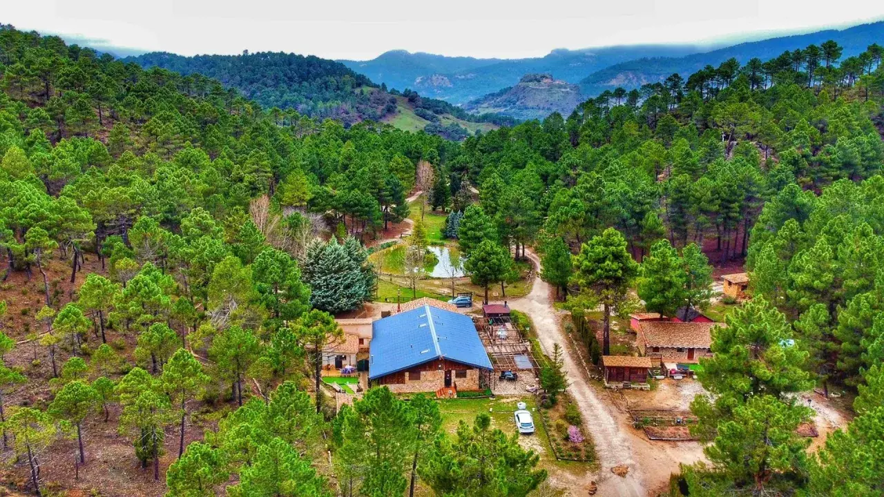 Un refugio en el bosque, el lagunazo riopar, rodeado de pinos y con un estanque sereno.