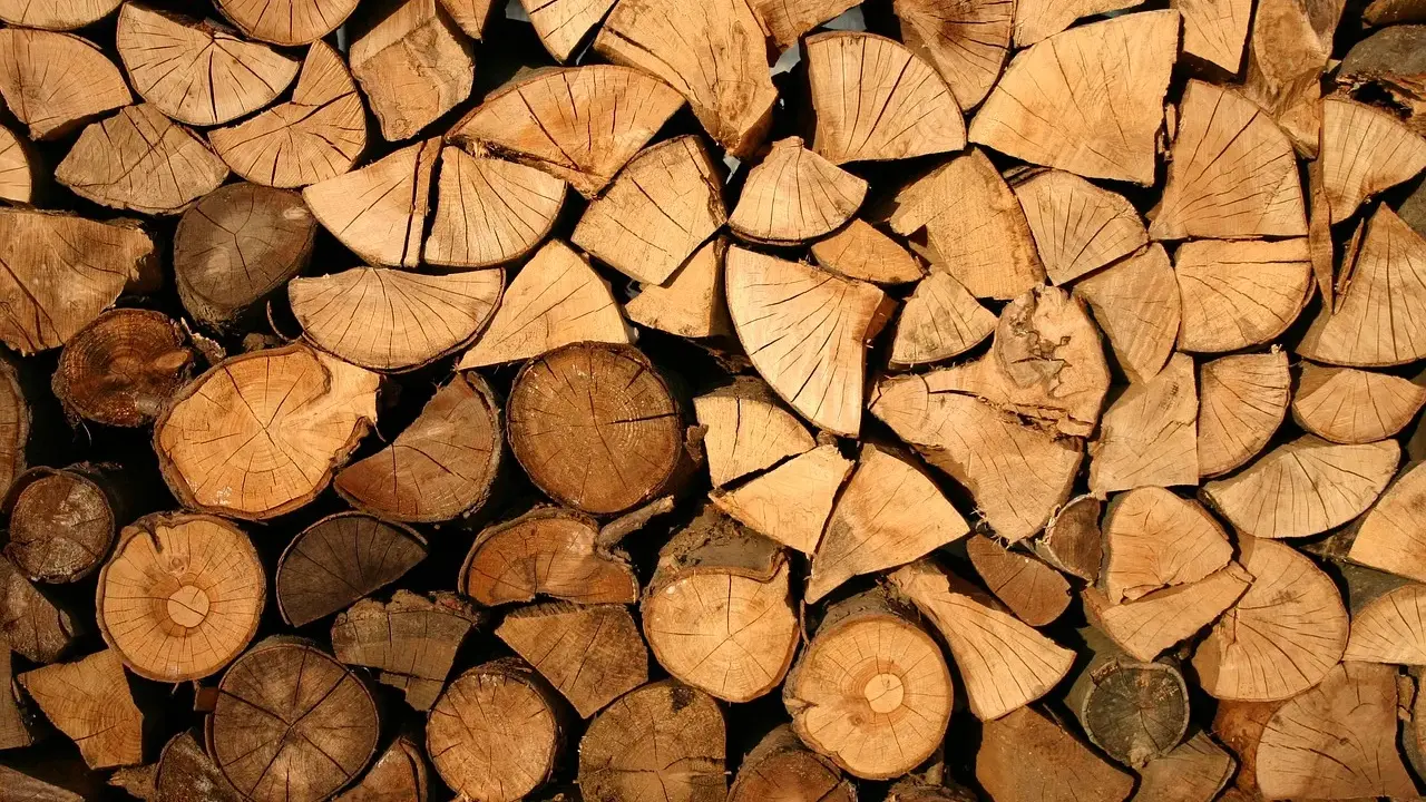 Stos drewna, przygotowany do suszenia desek na powietrzu. Widoczne przekroje pni, słoje i pęknięcia.