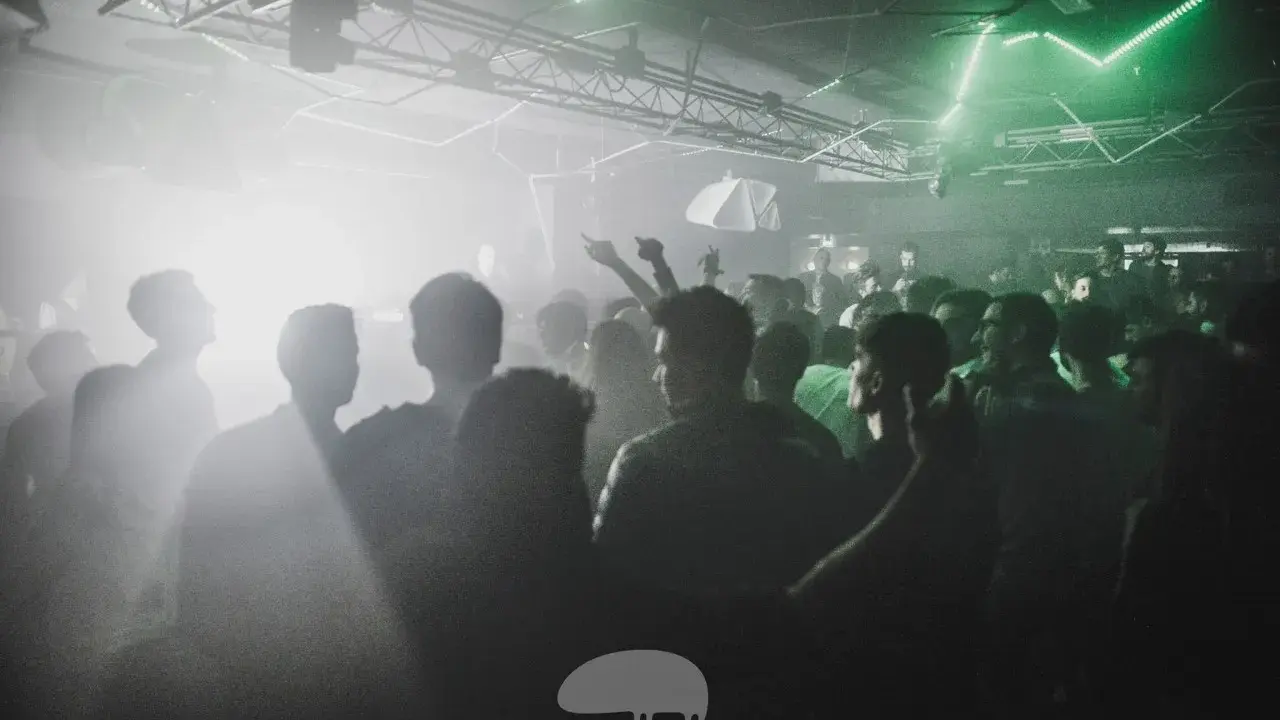 Folla in delirio in un locale, luci verdi e fumo creano un'atmosfera da dj techno anni '90.